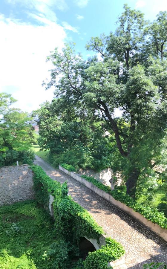 Ferienwohnung Schloss Schrattenthal מראה חיצוני תמונה